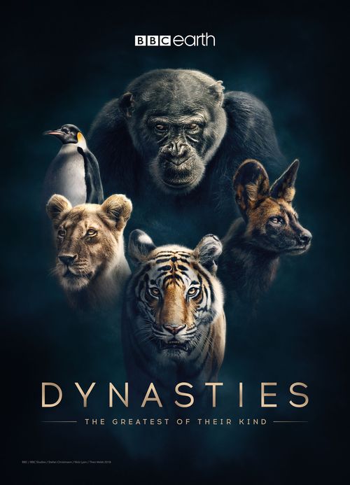 王朝 第一季 Dynasties Season 1 (2018)