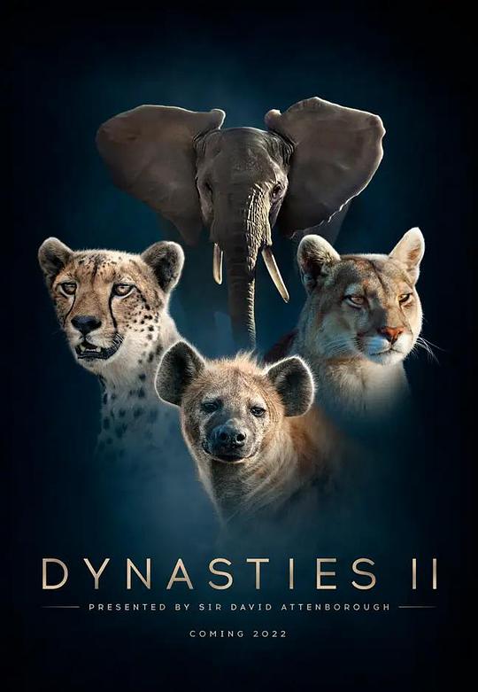 王朝 第二季 Dynasties Season 2 (2022)