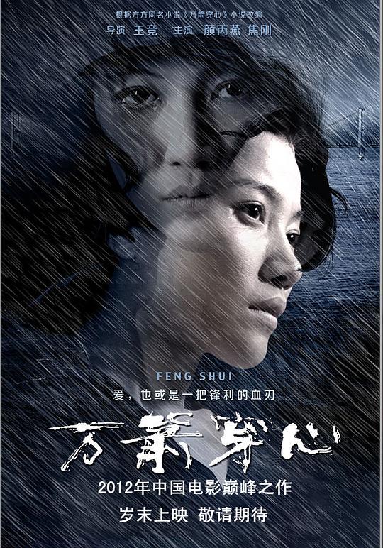 万箭穿心  (2012)