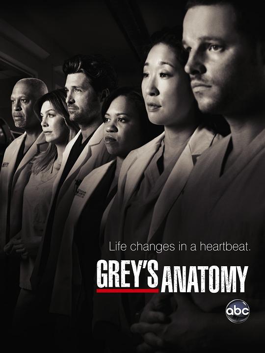 实习医生格蕾  第七季 Grey's Anatomy Season 7 (2010)