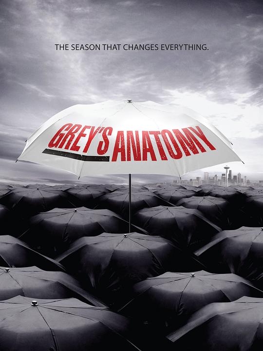 实习医生格蕾  第六季 Grey's Anatomy Season 6 (2009)