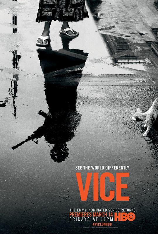 恶 第二季 Vice Season 2 (2014)