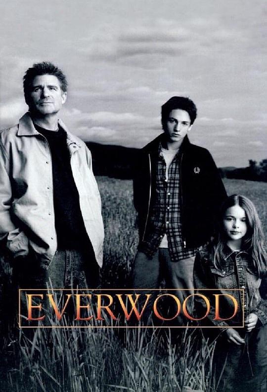 雪山镇  第二季 Everwood Season 2 (2003)