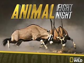 动物搏击会 第六季 Animal Fight Night Season 6 (2018)