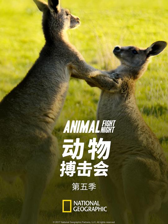 动物搏击会 第五季 Animal Fight Night Season 5 (2017)