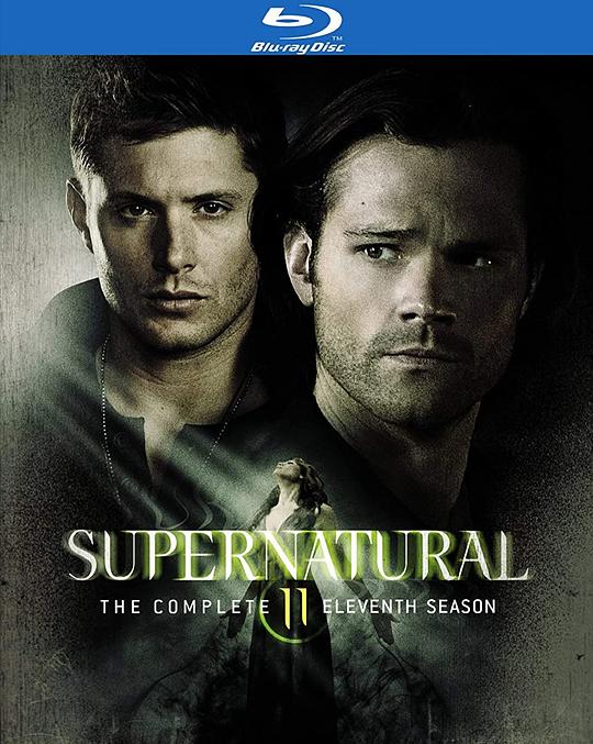 邪恶力量 第十一季 Supernatural Season 11 (2015)