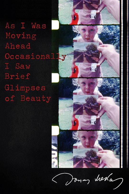 当我往前走之时偶尔会瞥到一缕美丽之景 As I Was Moving Ahead Occasionally I Saw Brief Glimpses of Beauty (2000)
