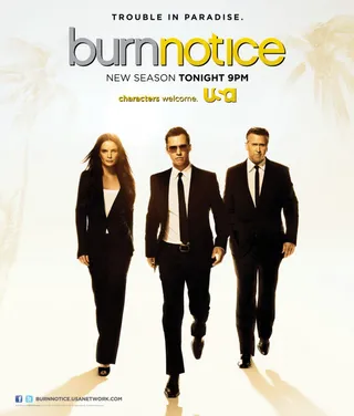 火线警告  第二季 Burn Notice Season 2 (2008)