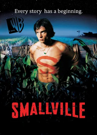 超人前传 第十季 Smallville Season 10 (2010)