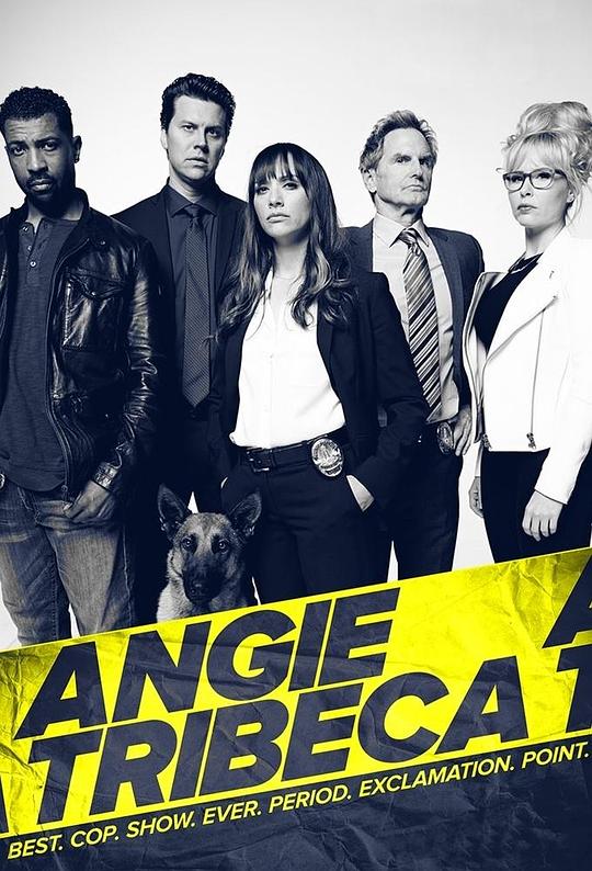 爆笑女警 第四季 Angie Tribeca Season 4 (2018)