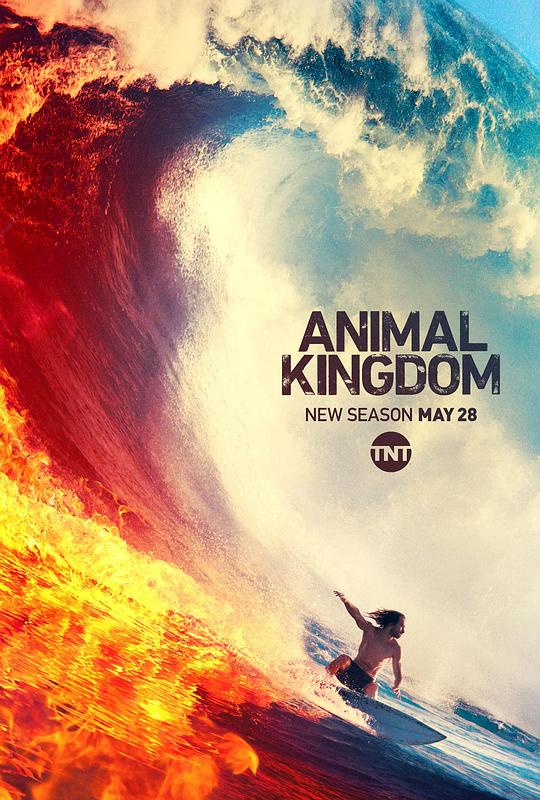 野兽家族 第四季 Animal Kingdom Season 4 (2019)