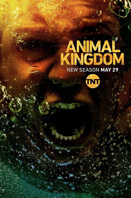 野兽家族 第三季 Animal Kingdom Season 3 (2018)