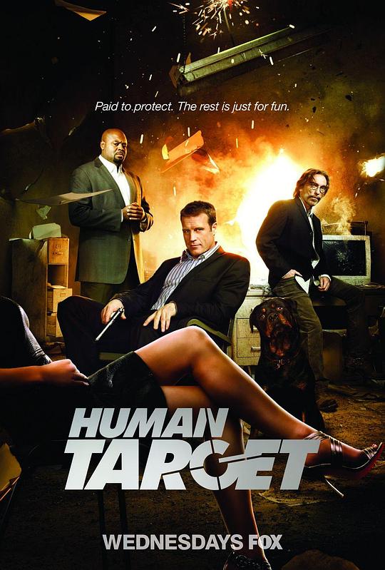 替身标靶 第一季 Human Target Season 1 (2010)