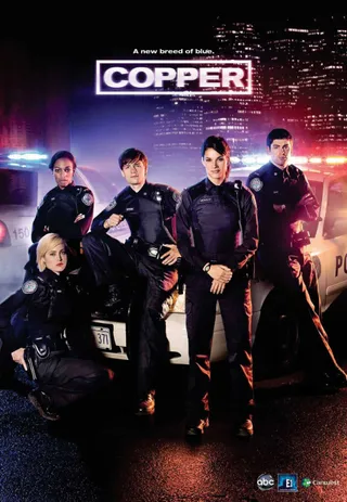 青涩警队 第六季 Rookie Blue Season 6 (2015)