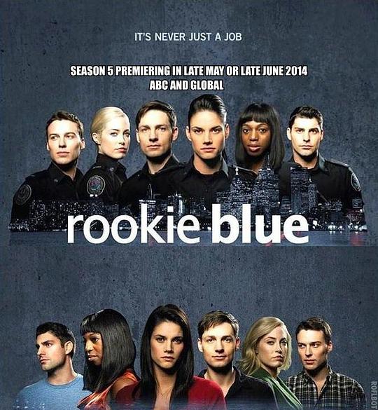 青涩警队 第五季 Rookie Blue Season 5 (2014)