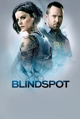 盲点 第一季 Blindspot Season 1 (2015)