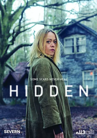 隐情 第二季 Hidden Season 2 (2020)