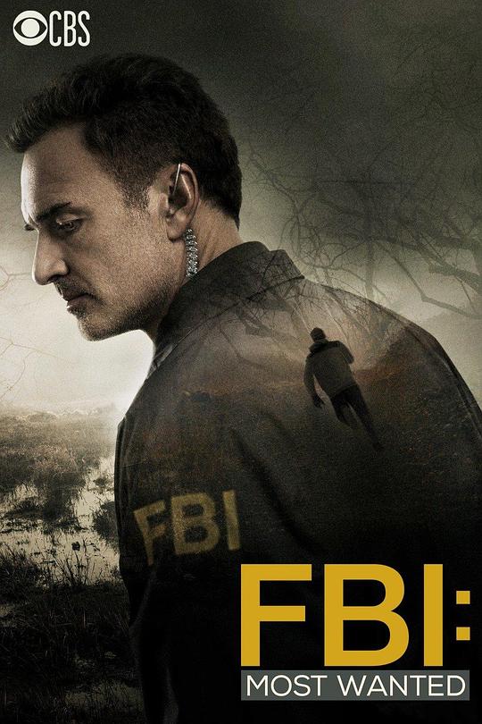 联邦调查局：通缉要犯 第一季 FBI: Most Wanted Season 1 (2020)