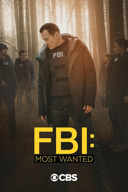 联邦调查局：通缉要犯 第二季 FBI: Most Wanted Season 2 (2020)