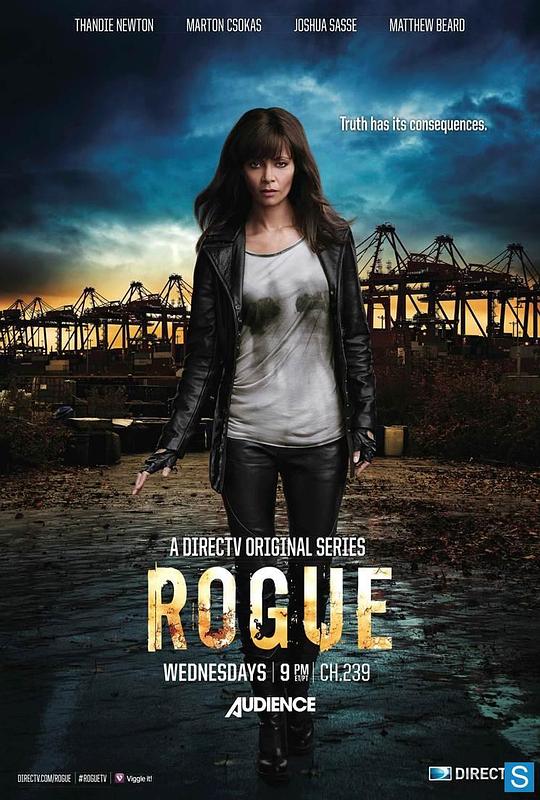 卧底情劫 第一季 Rogue Season 1 (2013)