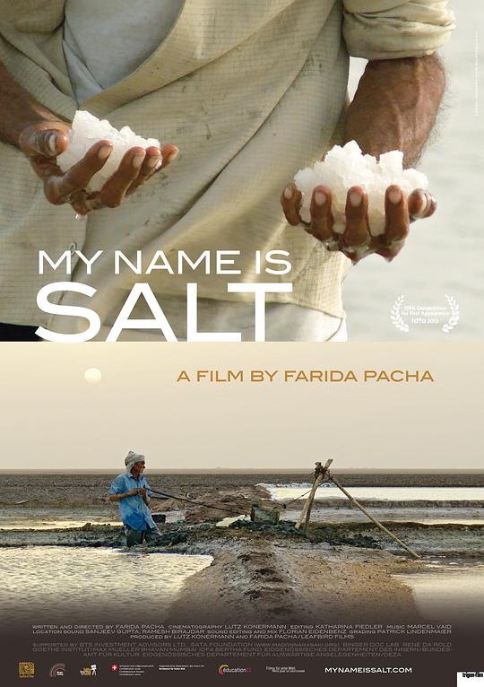 大地之盐 My Name Is Salt (2013)