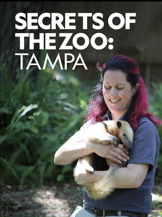 动物园秘辛：坦帕湾 第一季 Secrets of the Zoo: Tampa Season 1 (2020)