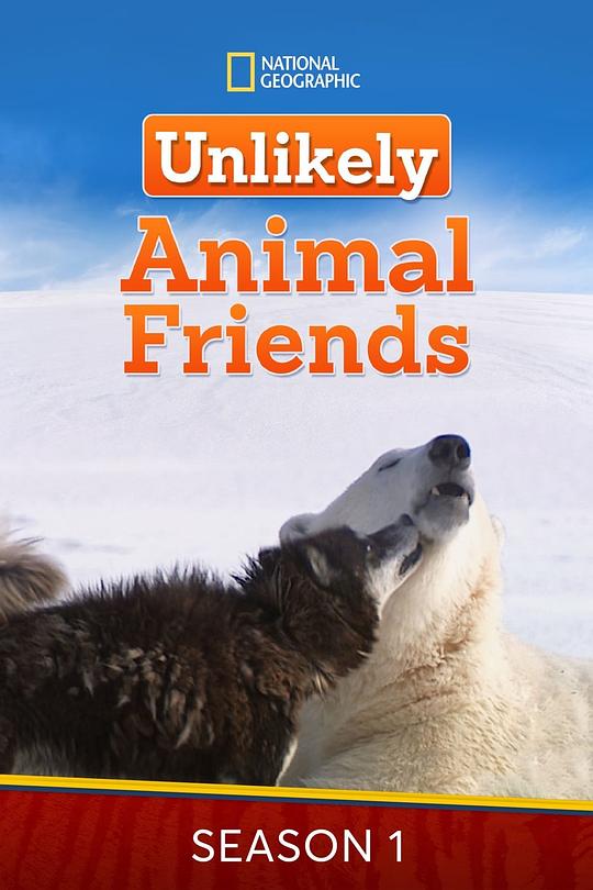不可思议的好朋友 第一季 Unlikely Animal Friends Season 1 (2012)