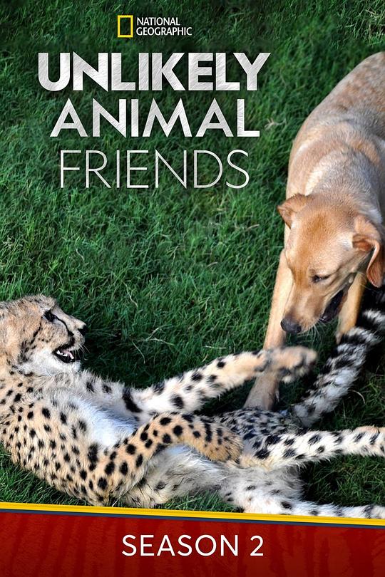 不可思议的好朋友 第二季 Unlikely Animal Friends Season 2 (2018)