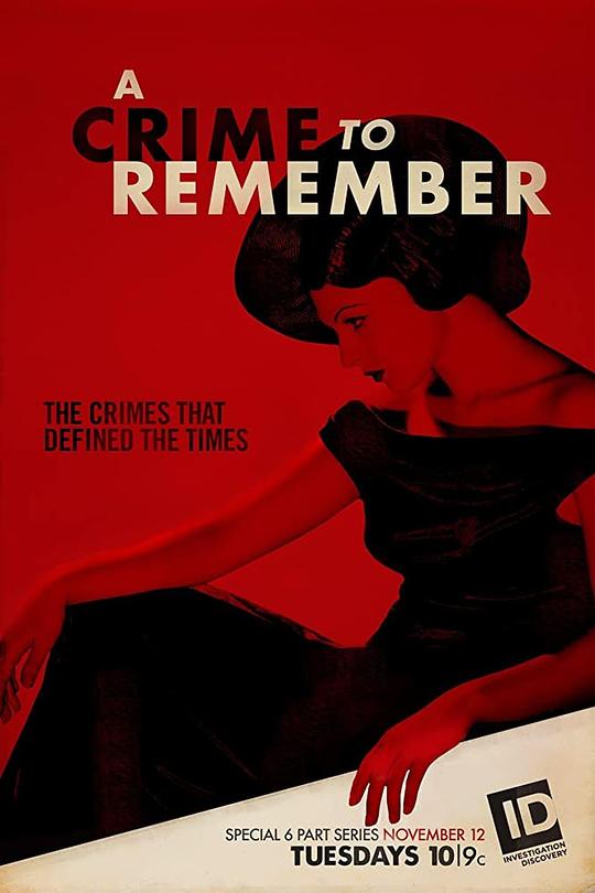 震惊罪案 第二季 A Crime to Remember Season 2 (2014)