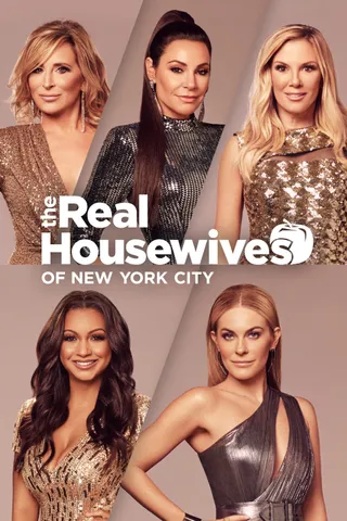 纽约娇妻 第八季 The Real Housewives of New York City Season 8 (2016)