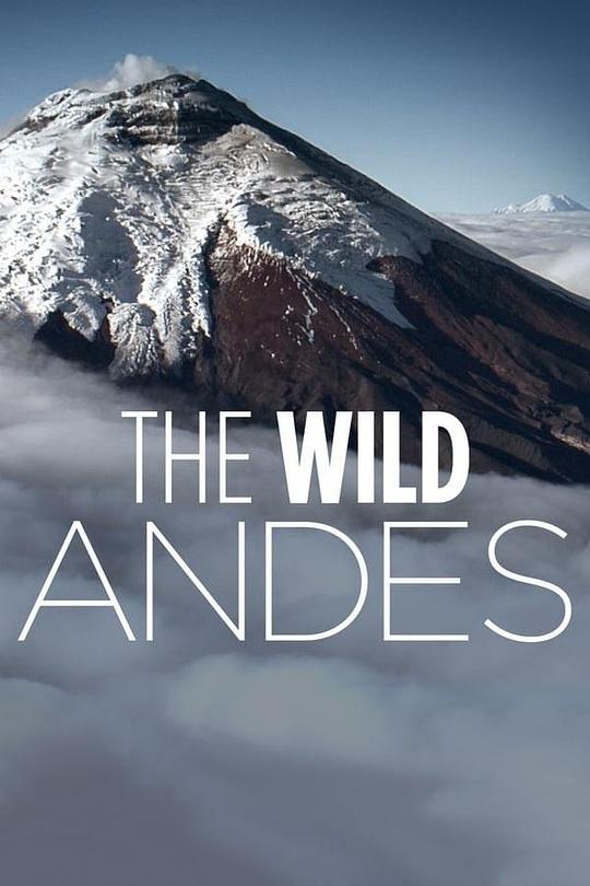 野性安第斯 The Wild Andes (2018)