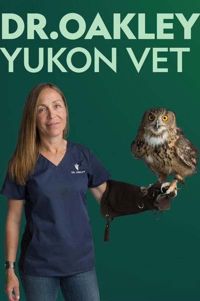 育空兽医 第一季 Dr. Oakley, Yukon Vet Season 1 (2014)