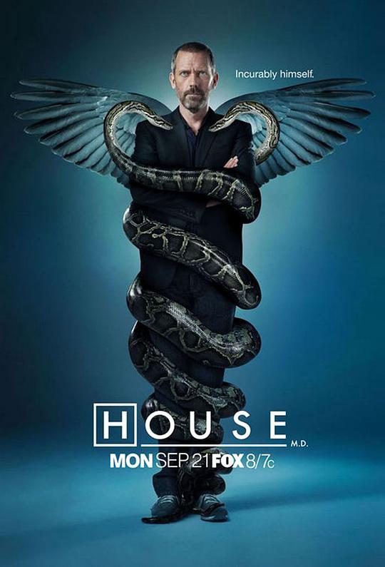 豪斯医生  第六季 House M.D. Season 6 (2009)