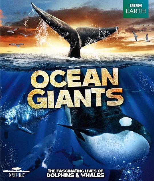 海洋巨兽 Ocean Giants (2011)