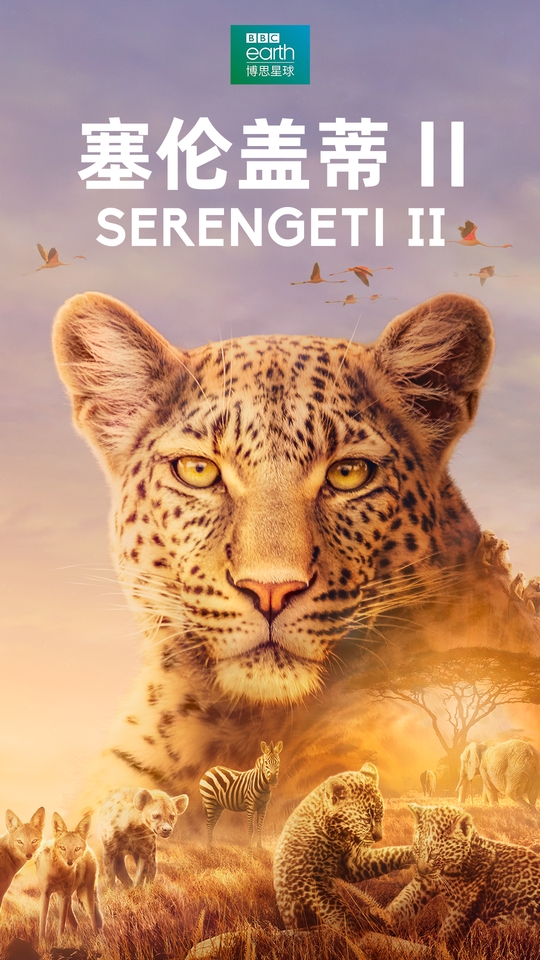 塞伦盖蒂 第二季 Serengeti Season 2 (2021)