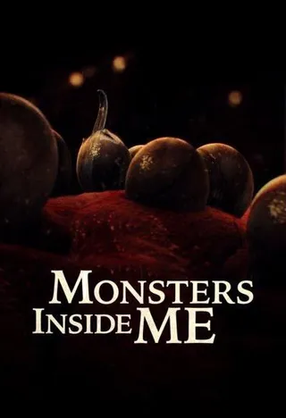 体内的怪物 第七季 Monsters Inside Me Season 7 (2017)