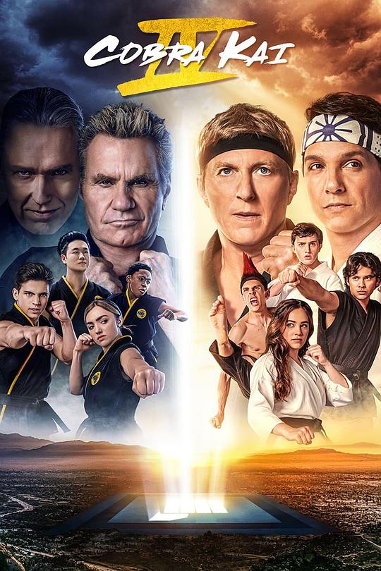 眼镜蛇 第四季 Cobra Kai Season 4 (2021)