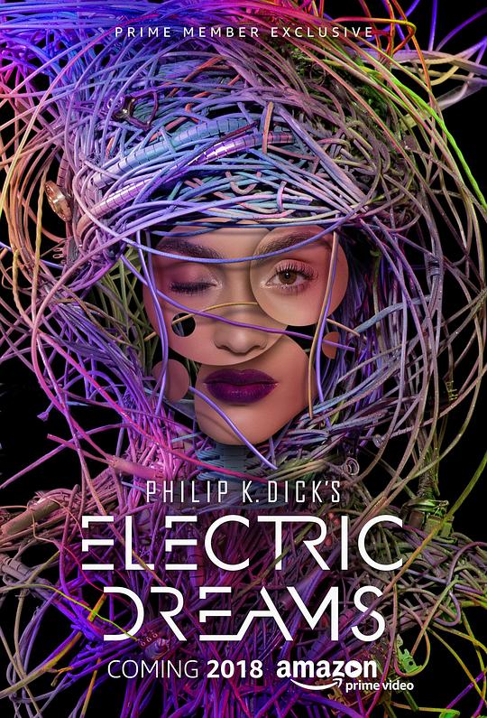 菲利普·迪克的电子梦 Philip K. Dick's Electric Dreams (2017)