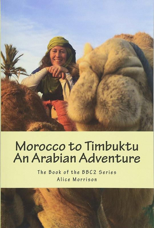 从摩洛哥到廷巴克图 Morocco To Timbuktu: An Arabian Adventure (2017)