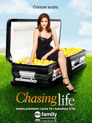 追寻人生 第一季 Chasing Life Season 1 (2014)