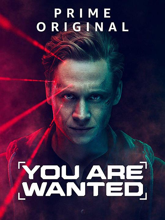 网络寻凶 第二季 You Are Wanted Season 2 (2018)