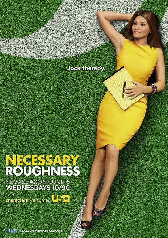 辣女队医 第二季 Necessary Roughness Season 2 (2012)