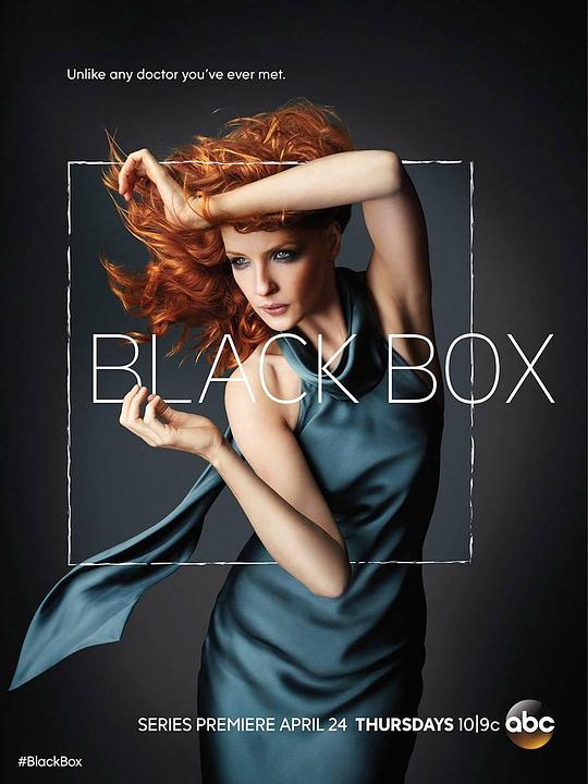 黑箱 Black Box (2014)