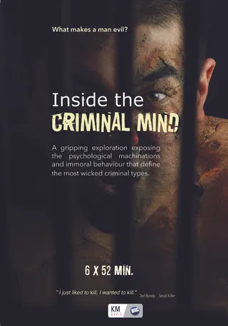 犯罪心理学 Inside the Criminal Mind (2017)