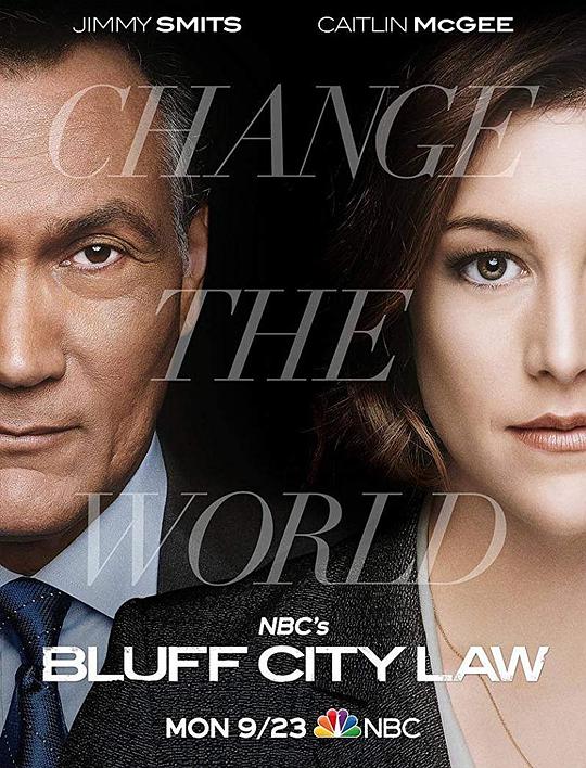 崖城法律 Bluff City Law (2019)