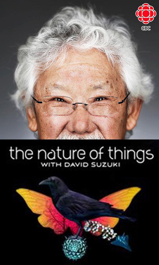 事物的本质 The Nature of Things (1960)