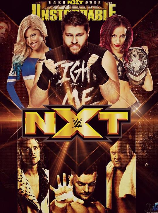 WWE NXT  (2010)