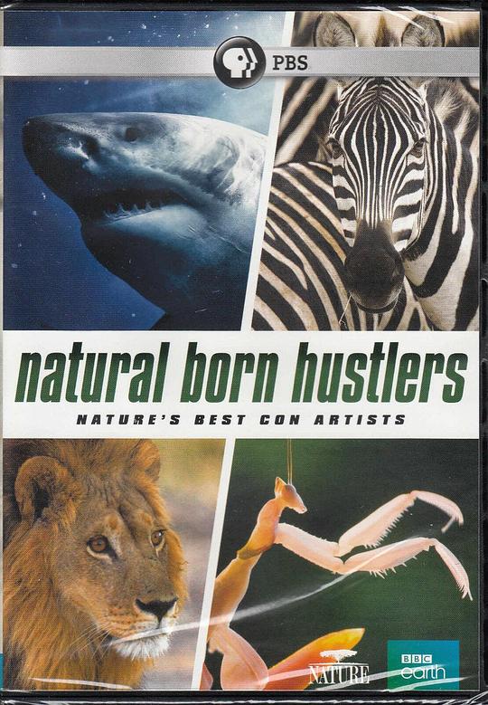 天生骗徒 Natural Born Hustlers (2016)