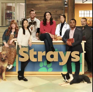 Strays Season 1  (2021)