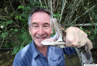 十大毒蛇 第一季 Ten Deadliest Snakes with Nigel Marven Season 1 (2014)